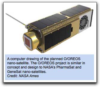 O/OREOS nano satellite (NASA)
