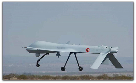 Predator-A UAV (Italian Air Force)