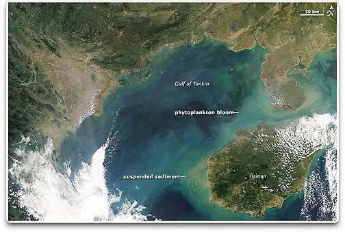 NASA Aqua Gulf of Tonkin chlorophyll image