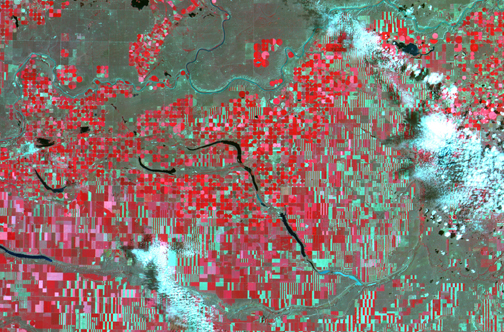 Grassy Lake, Canada (DMCii)