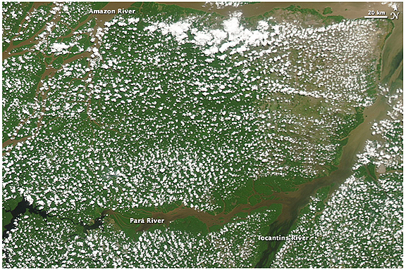 Amazon clouds NASA Aqua