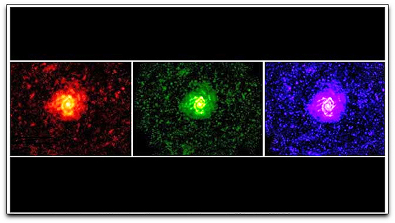Herschel's first cosmos images (ESA NASA)
