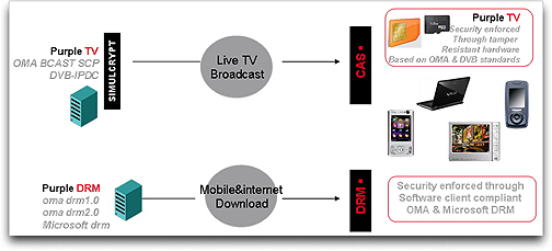 Viaccess OMA BCAST diagram