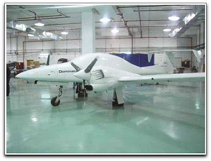 Dominator II UAV (Aeronautics)