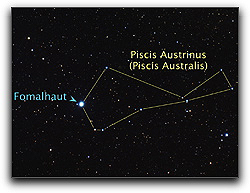 picis austalis