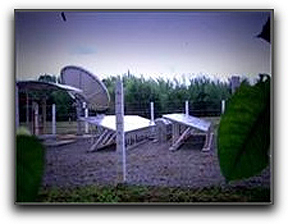 Ericsson-cambodia