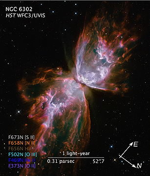 Butterfly hubble