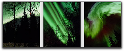 Auroras