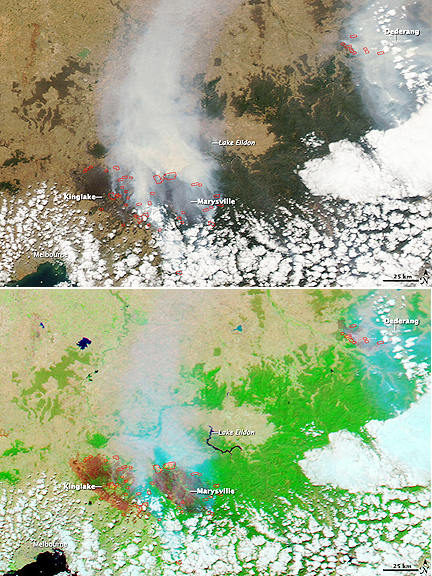 Australian bush fires