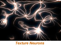 VDS Texture Neurons Image