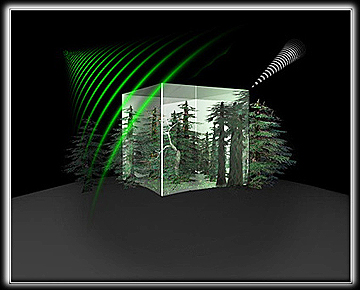 ESA BIOMASS project graphic