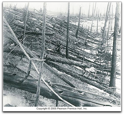 Tunguska explosion photo