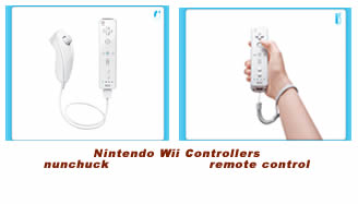 Nintendo Wii Controllers