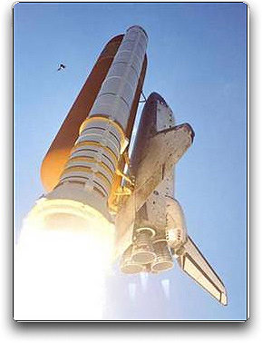 Bird collides w Space Shuttle