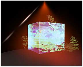 ESA FLEX mission