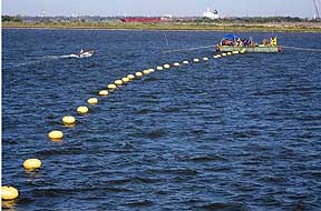 Seacom laying cable