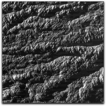 Baghadad Sulcus first res