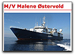 Malene Ostervold