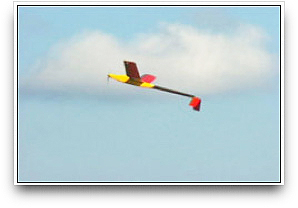 Russian Aist (Stork) UAV (Vega)