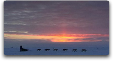 Iditarod