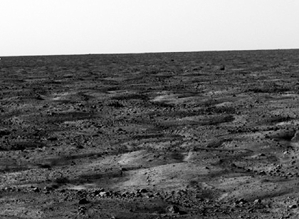 Phoenix photo of Mars