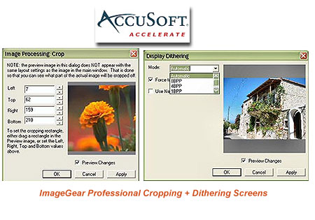 AccuSoft logo + ImageGear screens