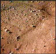 Mars Lander color photo of photo 3