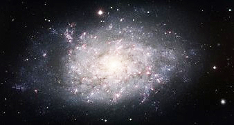 NGC 7793 spiral galaxy