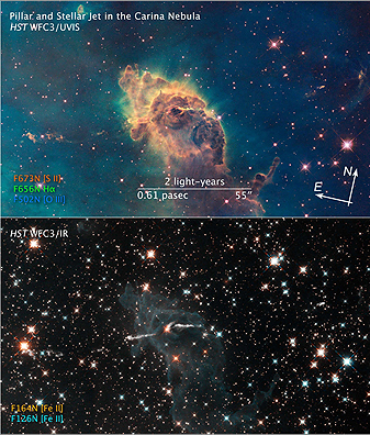 Carina
