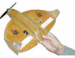 Mosquito UAV