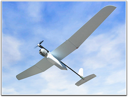 Skylark UAV (Elbit Systems)