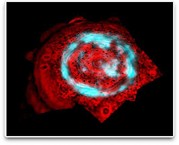 Casinni's photo  of Saturn's polar aurora