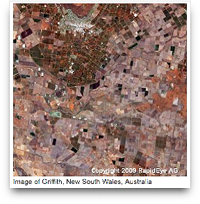 RapidEye image of Griffith