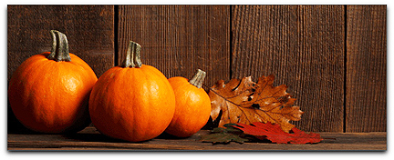 Thanksgiving Holiday banner