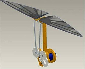 USAF bat study for MAVs