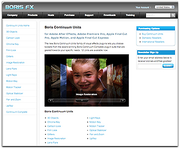 Borix Continuum Units webpage