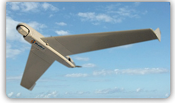Boomerang UAV (BlueBird)