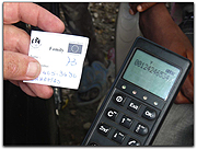 phone number