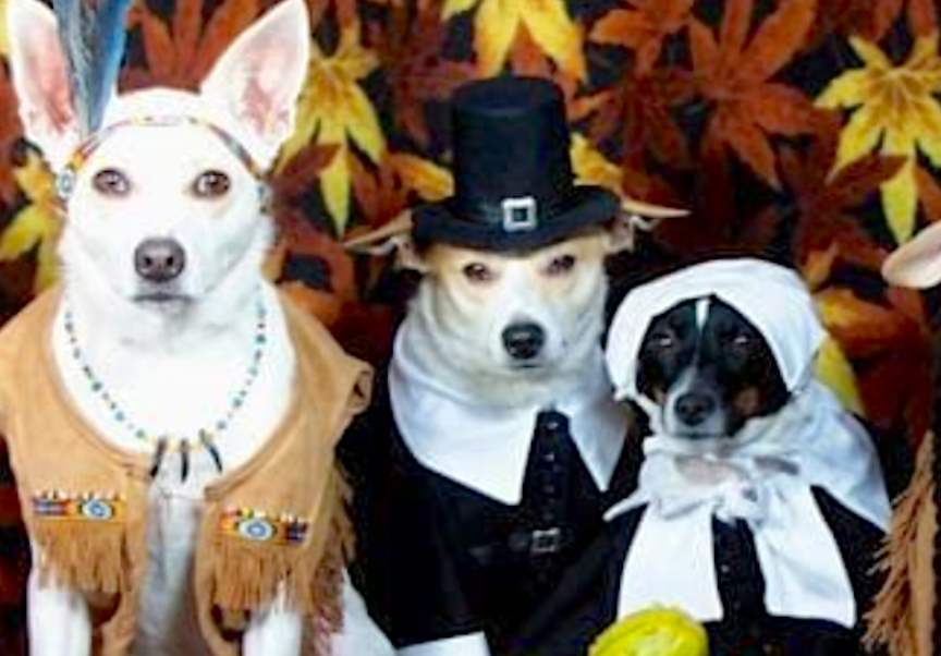 Satnews Publishers Wishes Everyone a Happy Thanksgiving