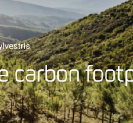 Hispasat's comprehensive fire protection system in three new areas reforested by Green Engine