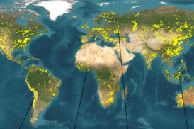 Geographic Hotspots: Where Demand Is Accelerating