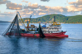 Ground Control Deploys RockFLEET for Large-Scale Turkish Fisheries VMS Program